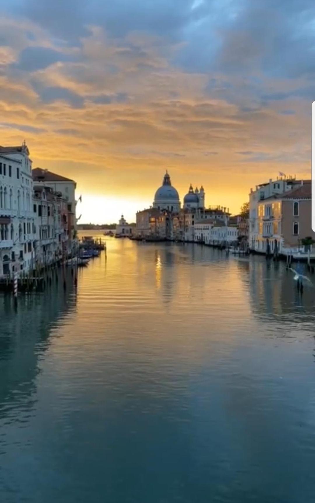 Gondola Show Venice Room photo